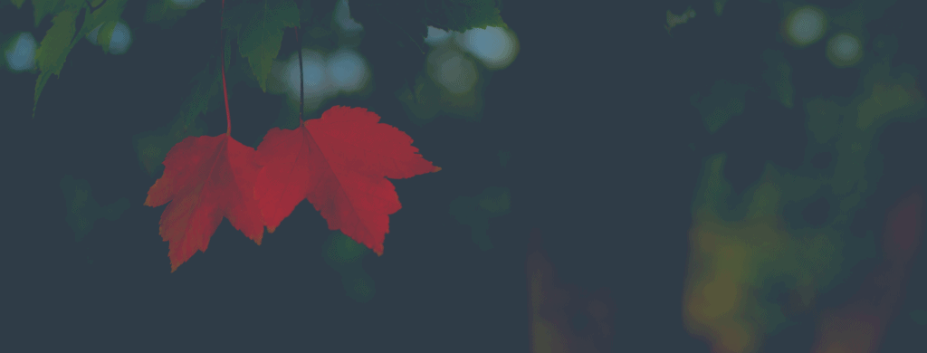 Calendrier dates importantes : édition Québec/Canada septembre