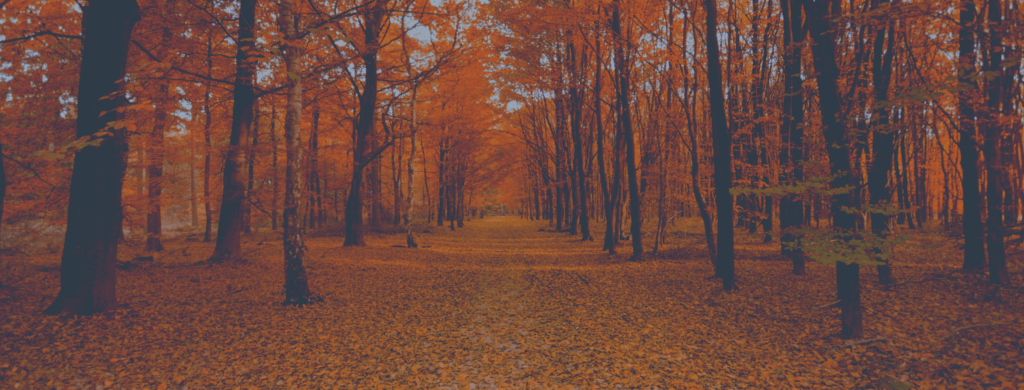 Calendrier dates importantes : édition Québec/Canada octobre