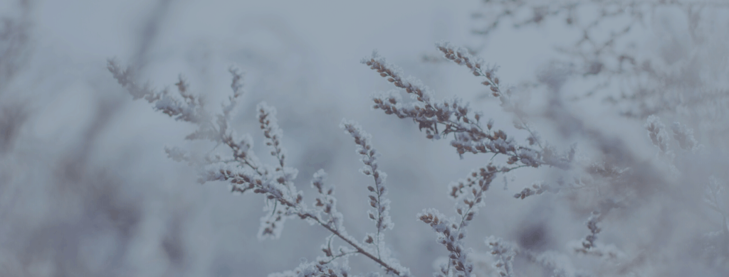 Calendrier dates importantes : édition Québec/Canada - Janvier