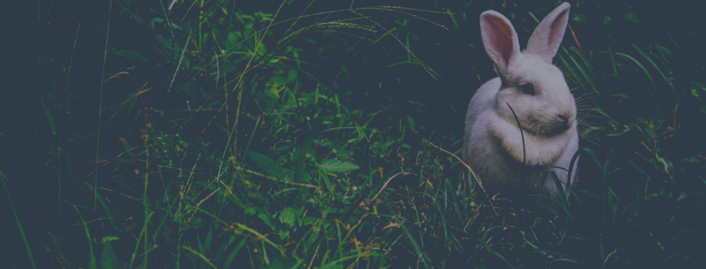 Calendrier dates importantes : édition Québec/Canada avril